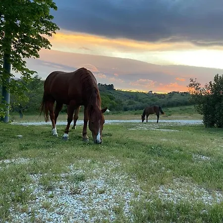 Vakantieboerderij Agriturismo Le Arene *