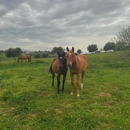 Agriturismo Le Arene Vakantieboerderij Corropoli