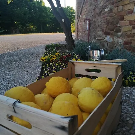 Alloggio per agriturismo Agriturismo Le Arene