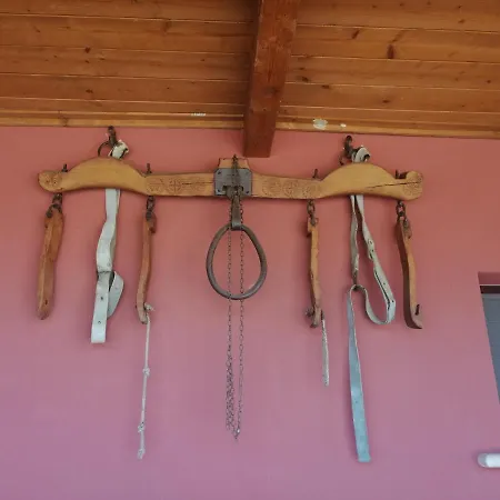 Farm stay Agriturismo Le Arene Corropoli