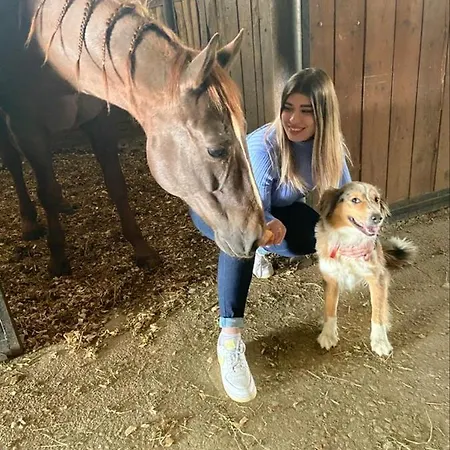 Agriturismo Le Arene Vakantieboerderij *