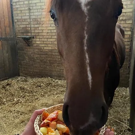 Agriturismo Le Arene Vakantieboerderij