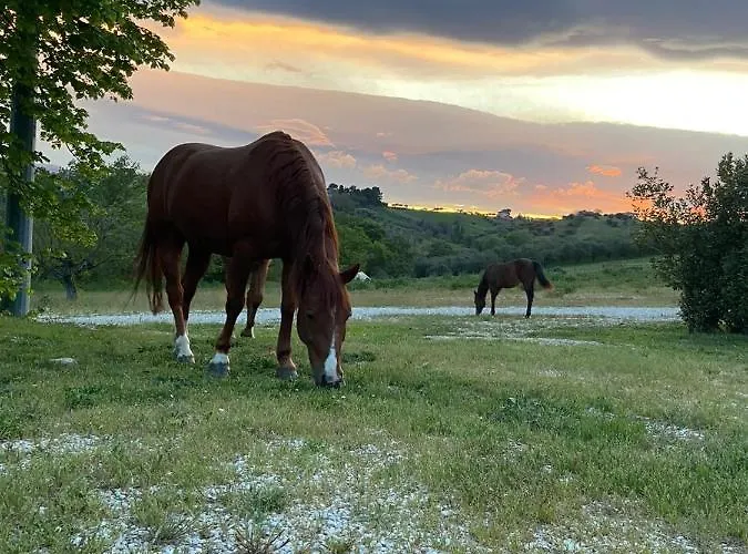 Фермерский дом Agriturismo Le Arene *