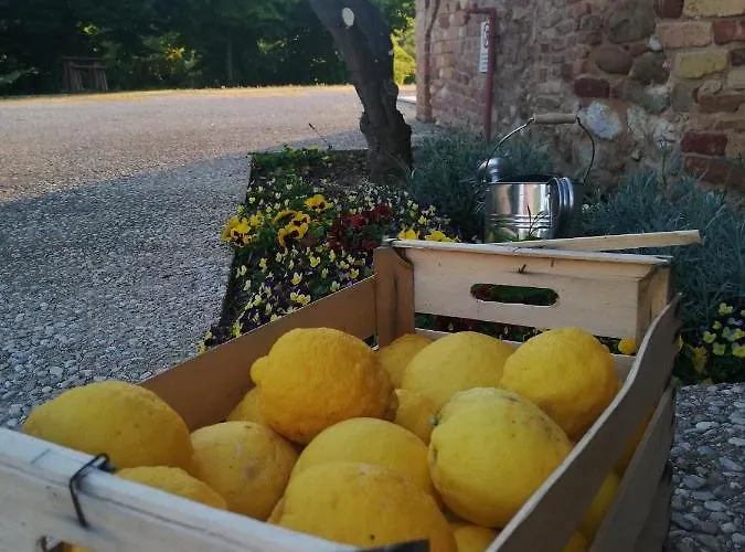 Фермерский дом Agriturismo Le Arene