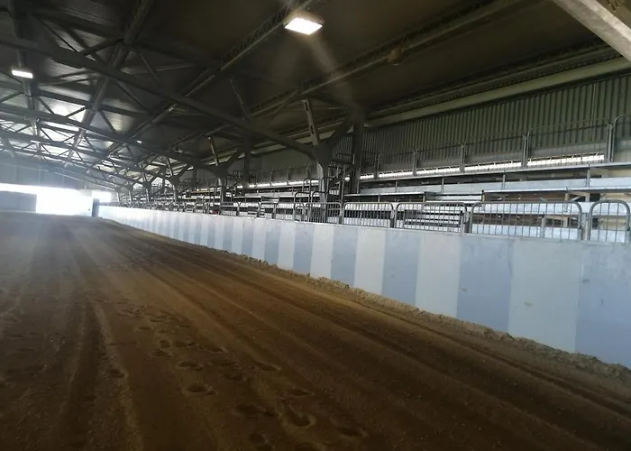 Agriturismo Le Arene Bauernhof