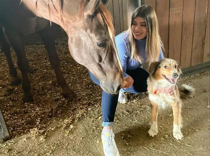 Agriturismo Le Arene Bauernhof *