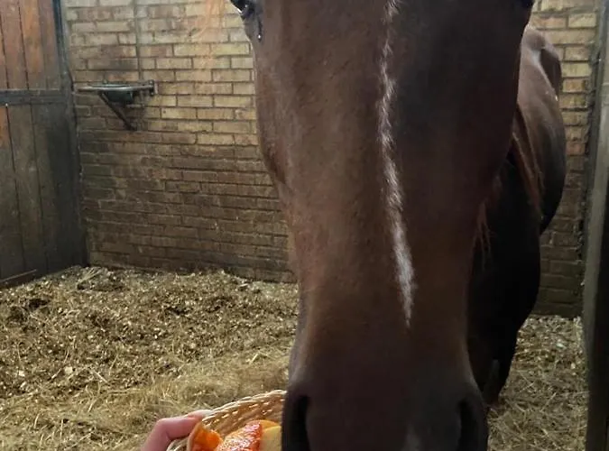 Agriturismo Le Arene Bauernhof